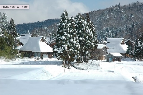 Đôi nét về tỉnh Iwate Japan